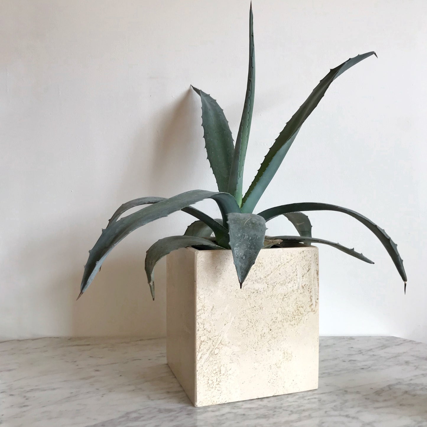 Minimalist Travertine Planter / Waste Bin