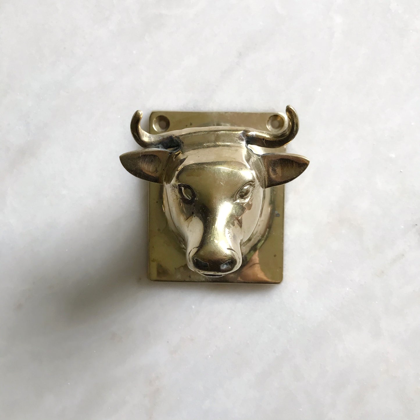 XL Vintage Brass Bull Wall Hook