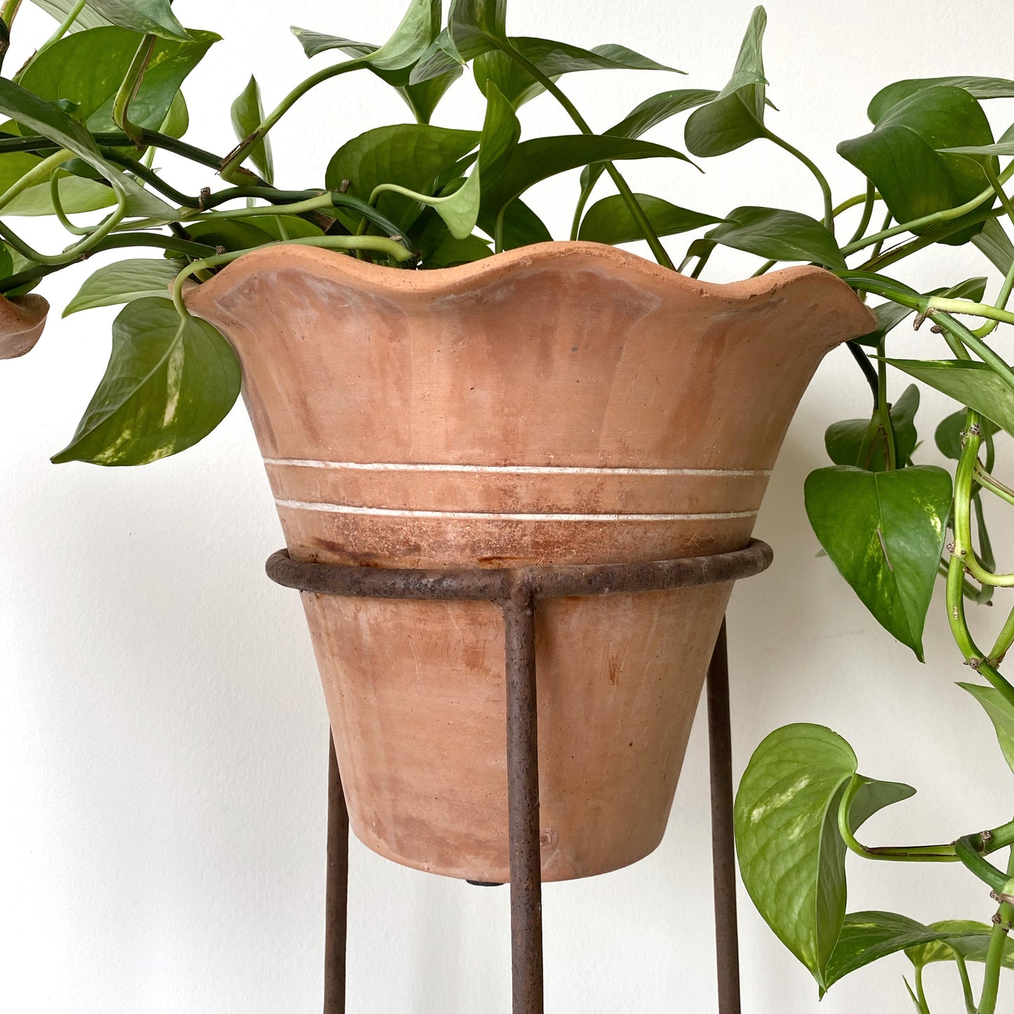 Single Vintage Terracotta Planter with Iron Stand