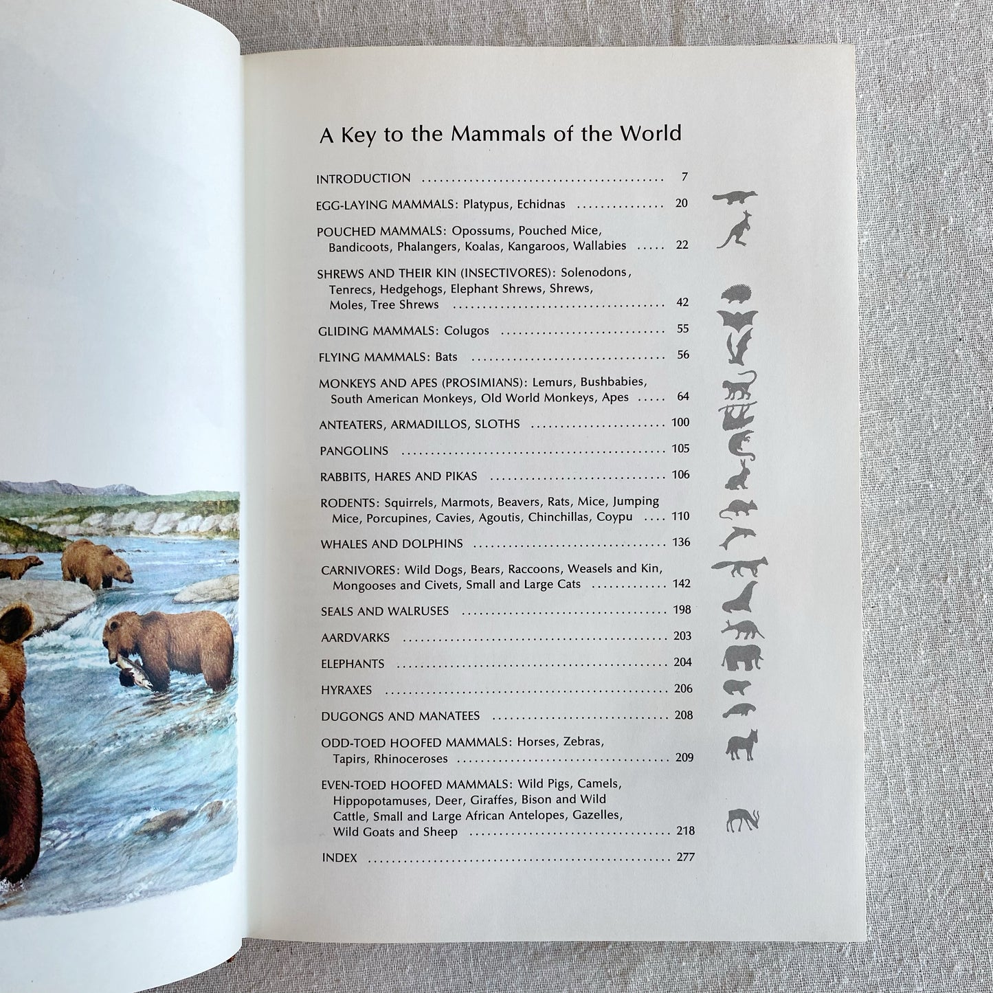 Book: World Guide to Mammals, 1976