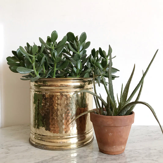 XL Vintage Hammered Brass Planter