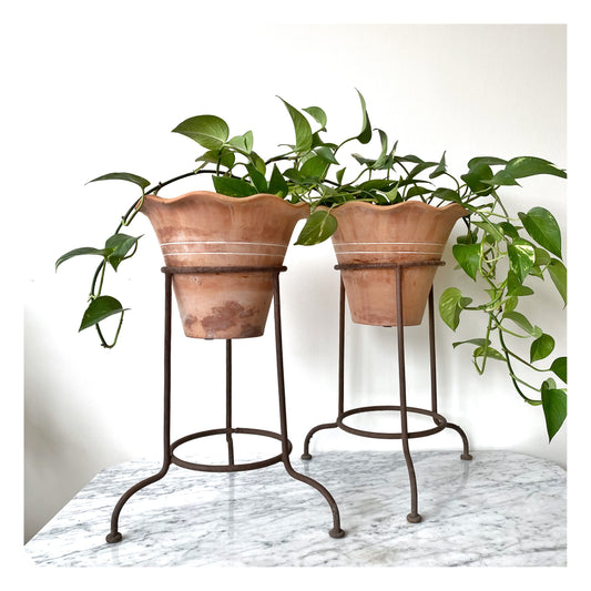 Single Vintage Terracotta Planter with Iron Stand