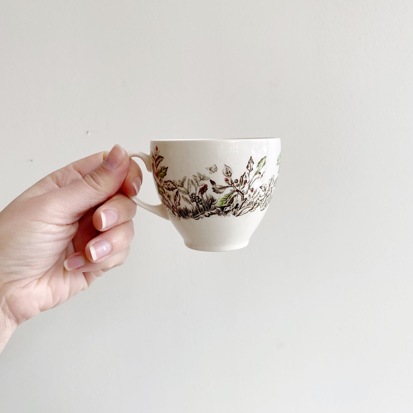 Pair of Vintage Pheasant Mugs