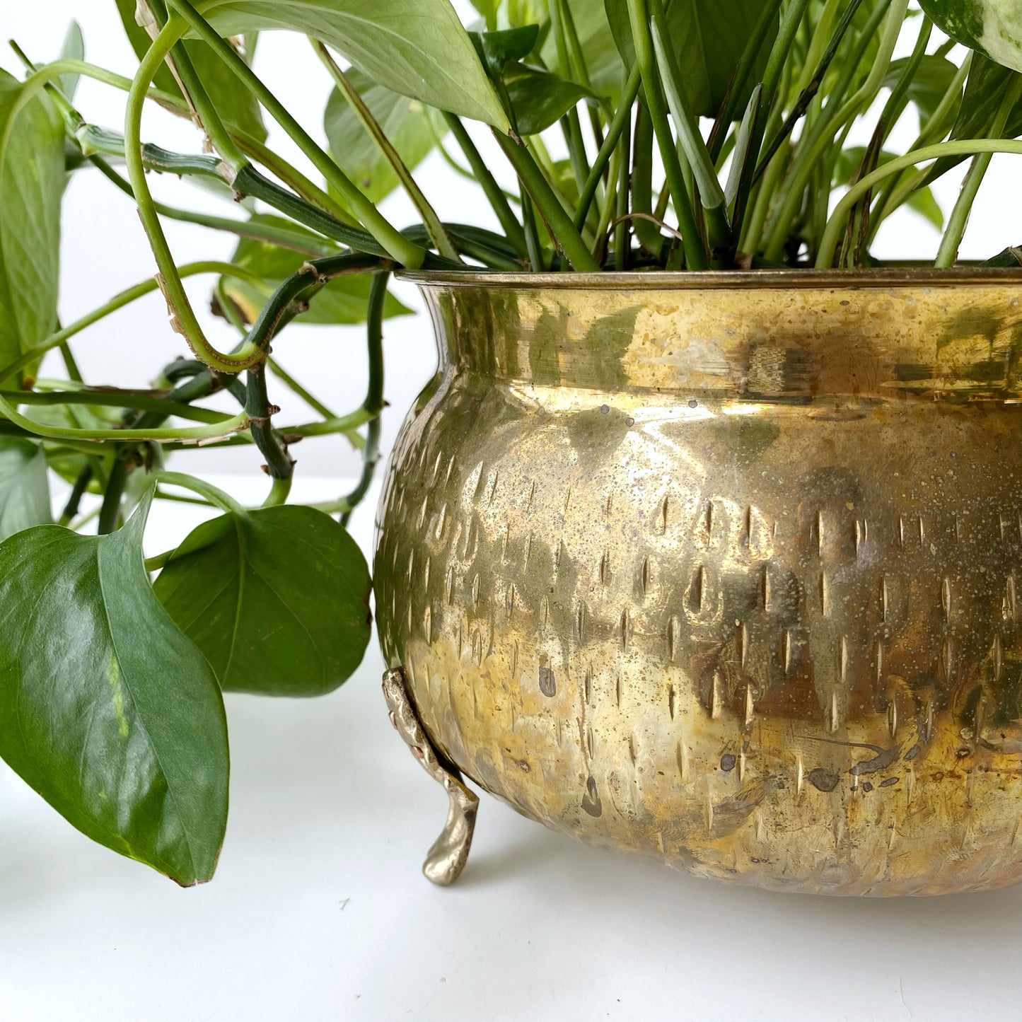 Large Vintage Footed Brass Planter