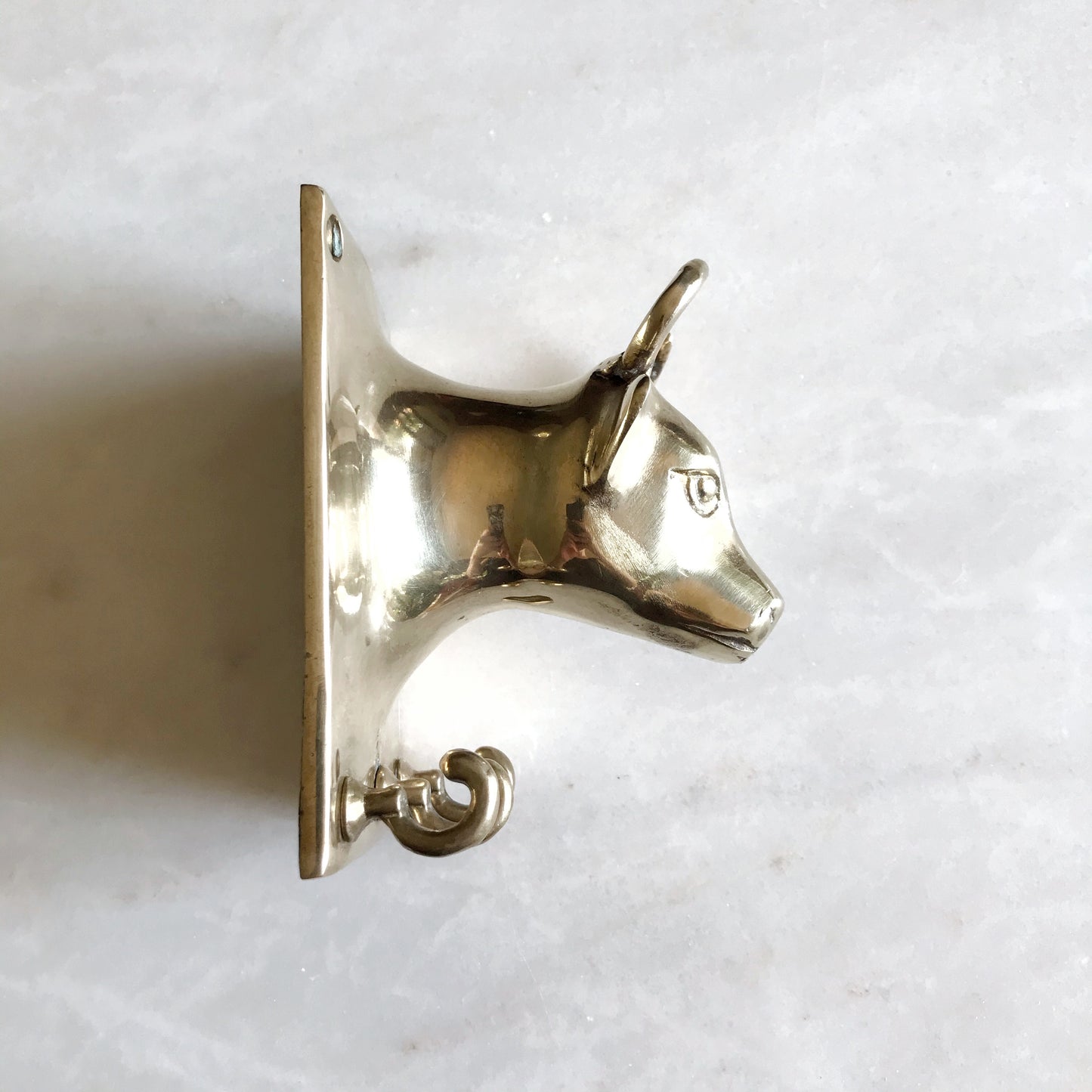 Vintage Brass Bull Wall Piece with Hooks