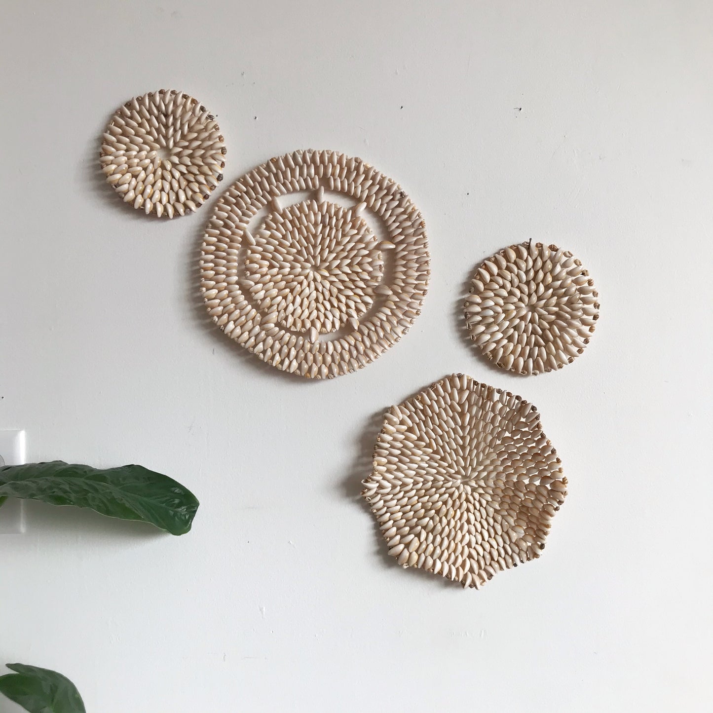 Collection of Vintage Shell Trivets