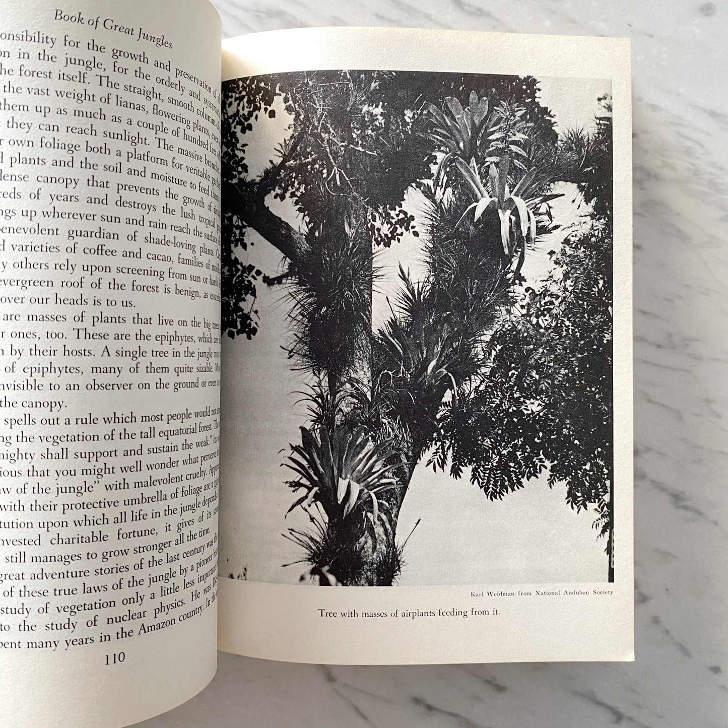 Book: Book of Great Jungles (1965)