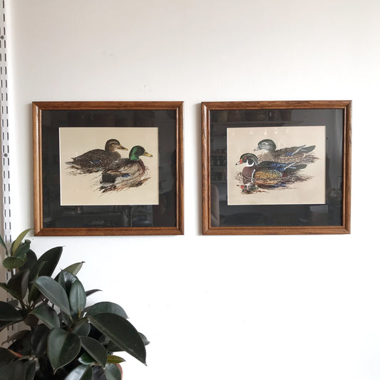 Pair of Vintage Framed Duck Prints