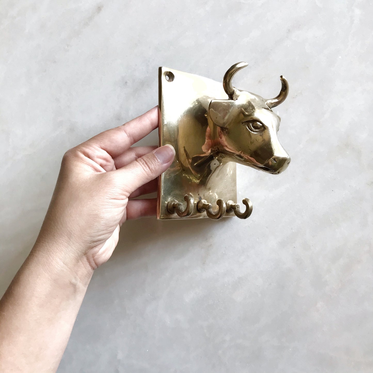 Vintage Brass Bull Wall Piece with Hooks