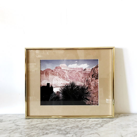 Vintage Photograph, Southwestern Landscape