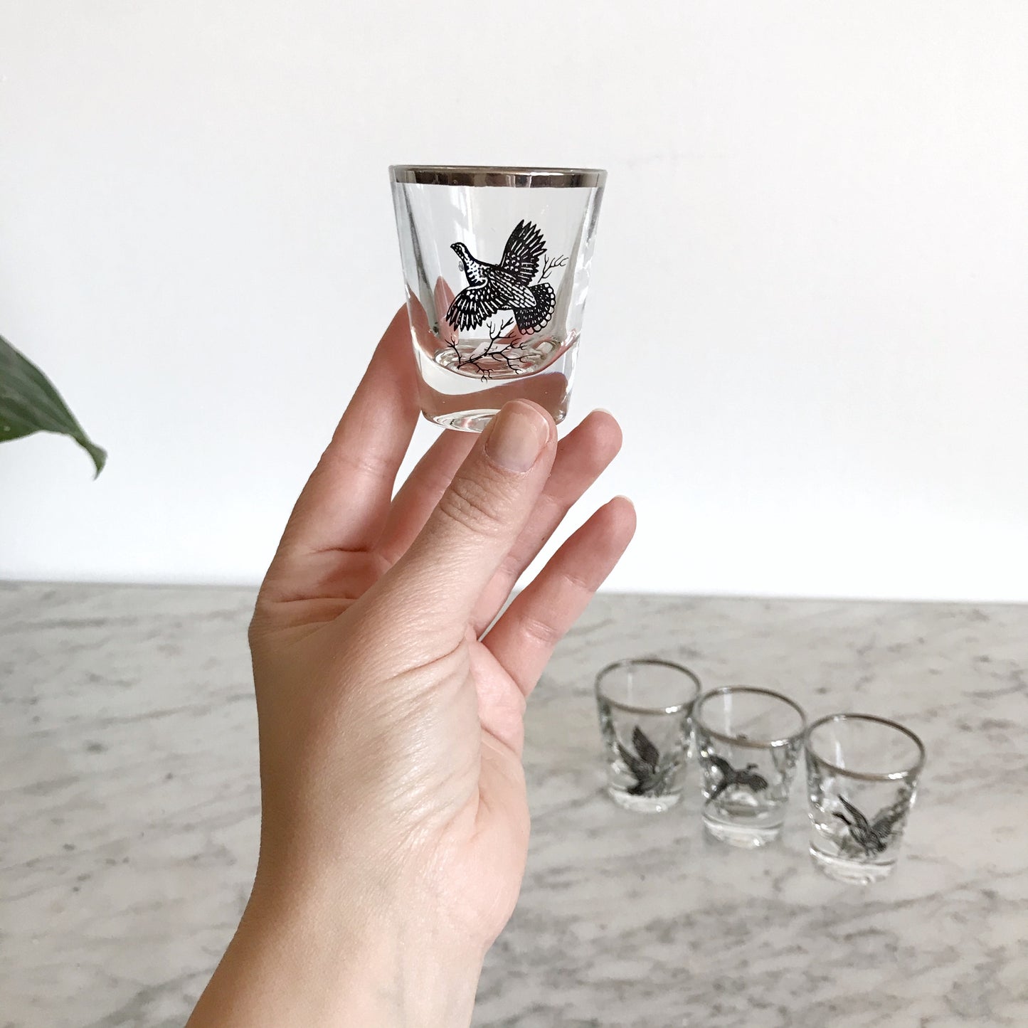 Set of 4 Vintage Bird Shot Glasses