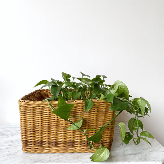 Large Square Wicker Floor Basket