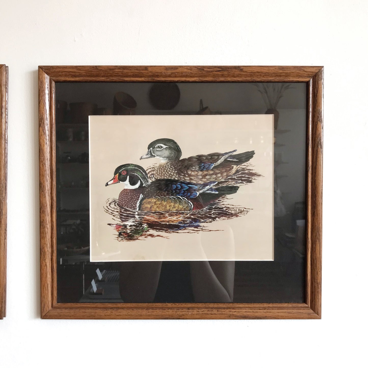 Pair of Vintage Framed Duck Prints