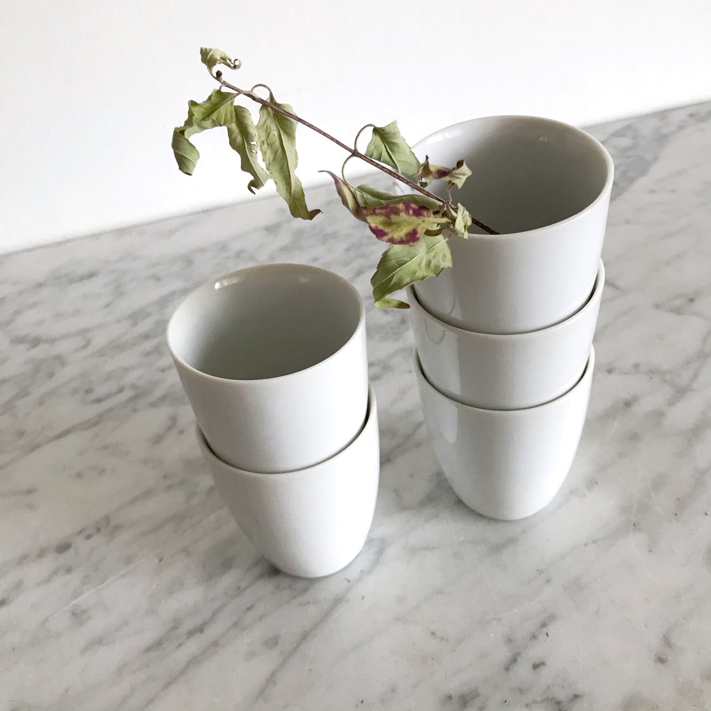 Simple Porcelain Espresso Cups, Set of 5