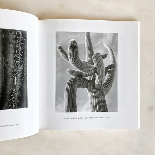 Book: The Grand Canyon and the Southwest