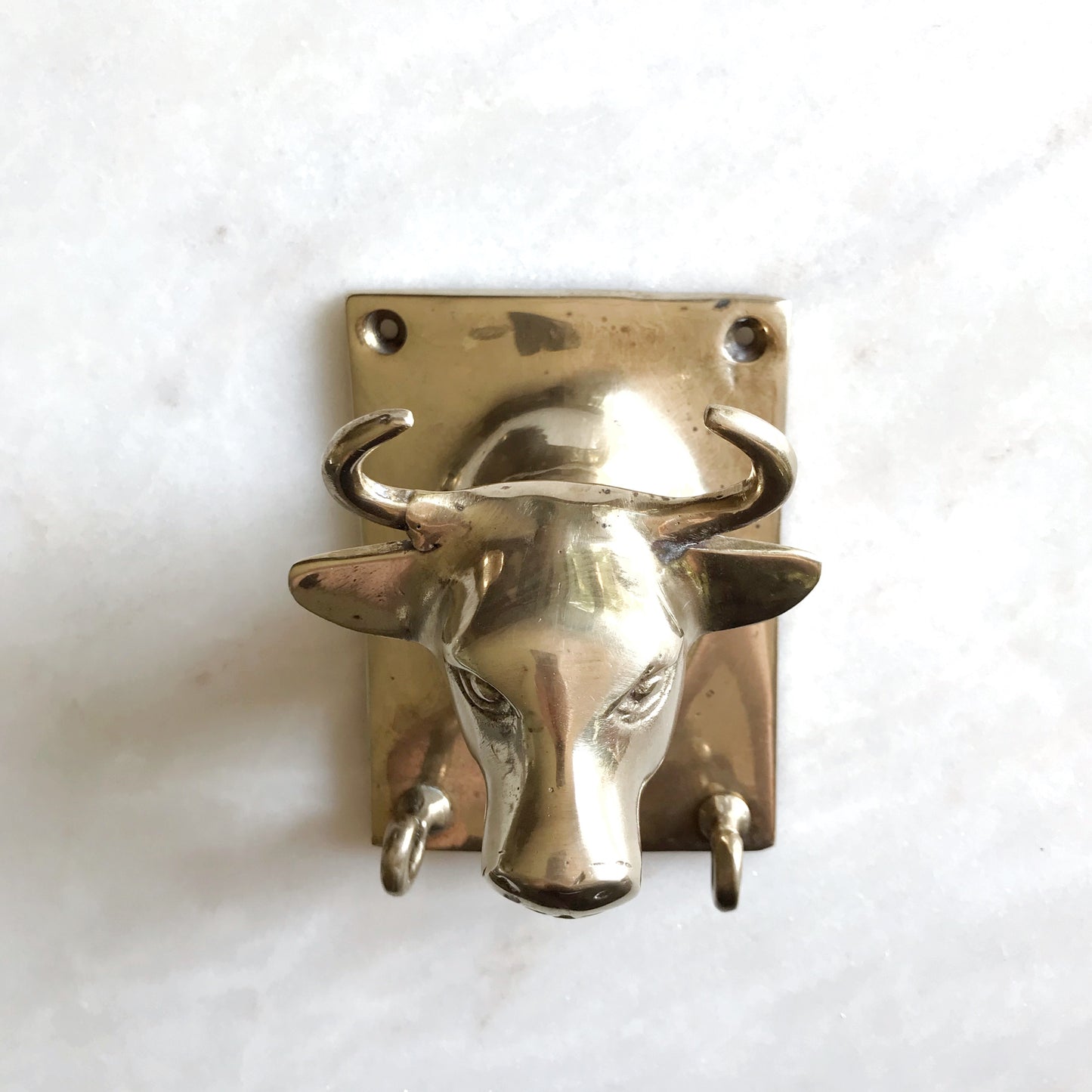 Vintage Brass Bull Wall Piece with Hooks