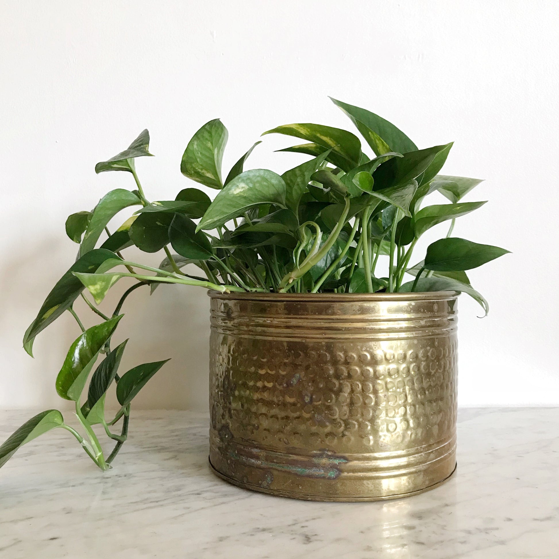 large vintage indoor plant pots Large Vintage Brass Planter, 8.5” – HAUS THEORY