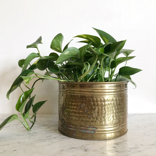 Large Vintage Brass Planter, 8.5”