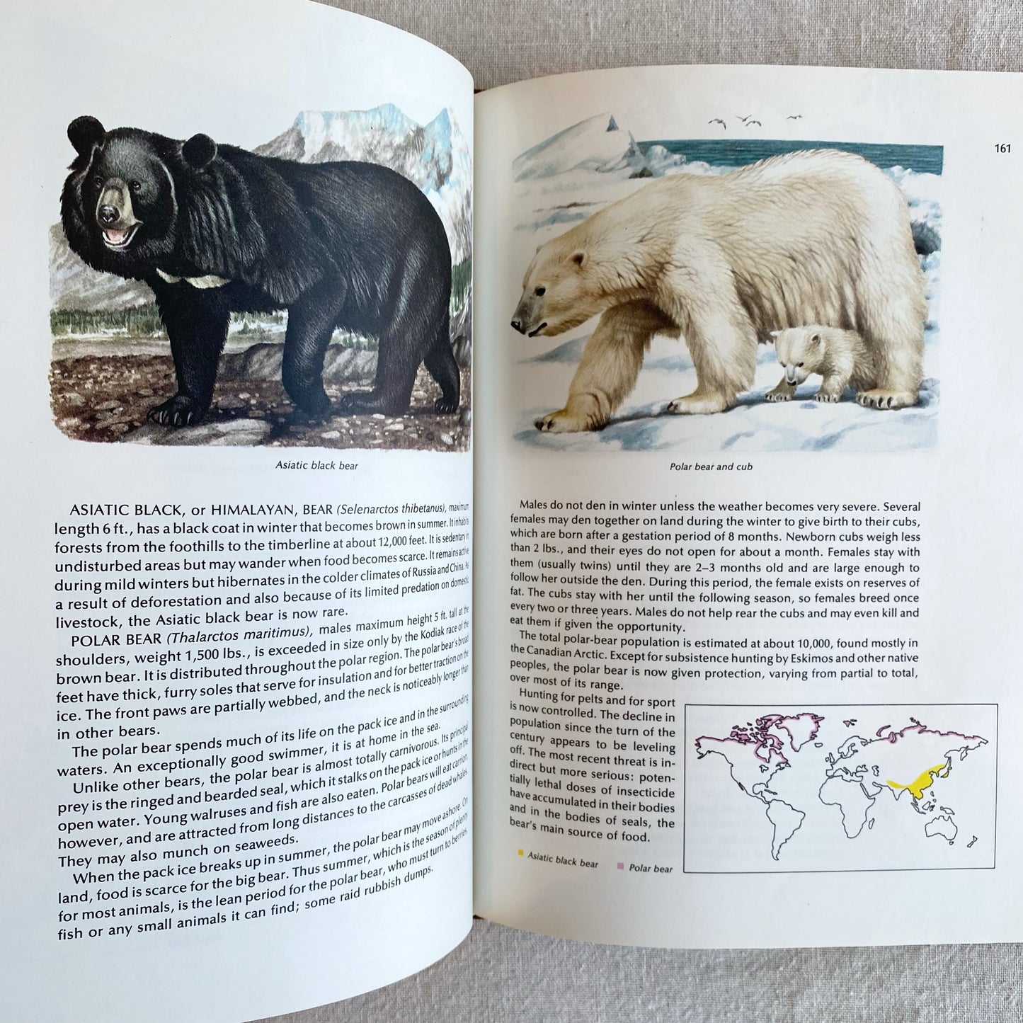 Book: World Guide to Mammals, 1976