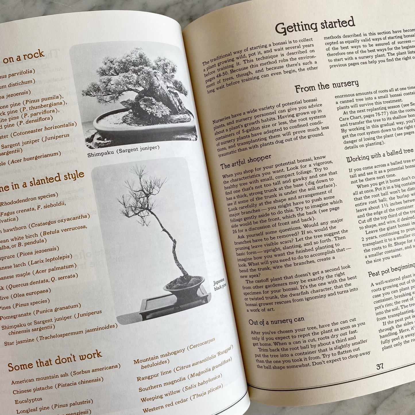 Book: Bonsai, An Illustrated Guide to the Ancient Art