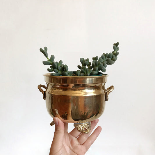 Vintage Footed Brass Planter with Handles
