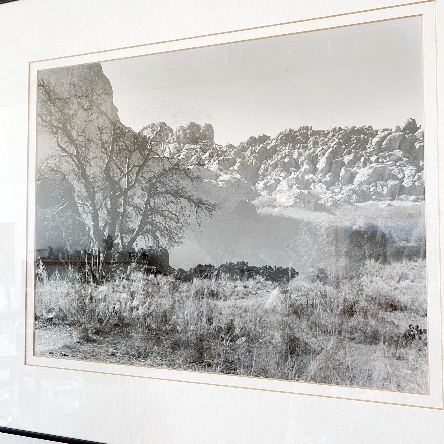 Framed Large-scale B&W Landscape Photograph