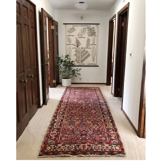 "MAGGIE" Runner Rug (3.7 x 9.4)