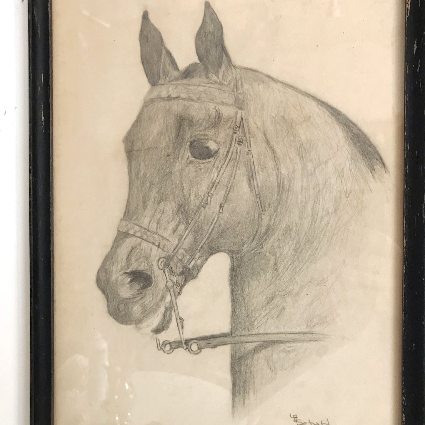 Vintage Original Pencil Drawing, Horse Portrait