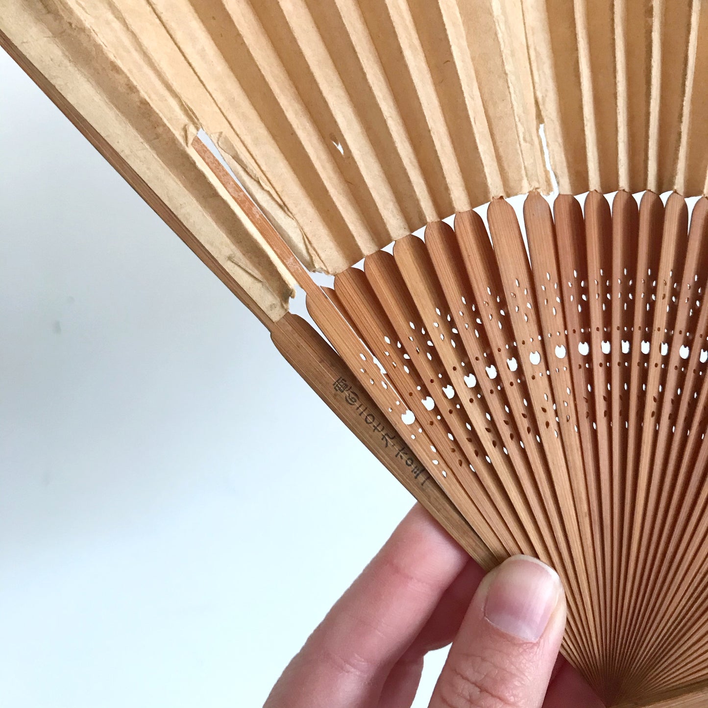 Vintage Paper Fan with Leaves