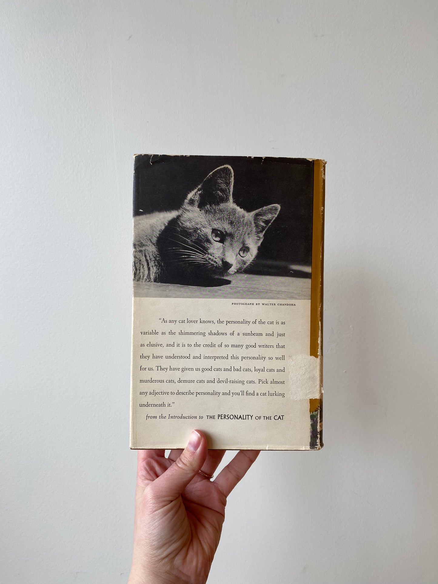 Vintage Book “The Personality of The Cat”