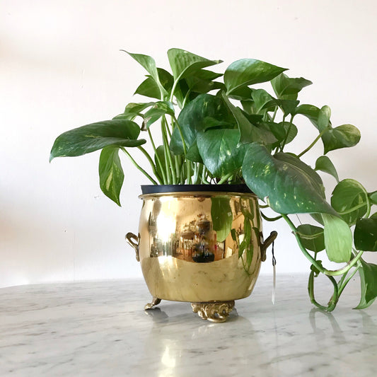 Footed Brass Planter w/ Handles