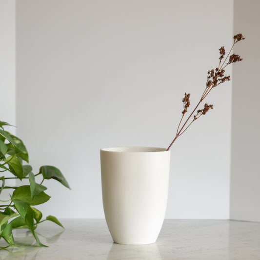 Simple Matte White Vase, Romania