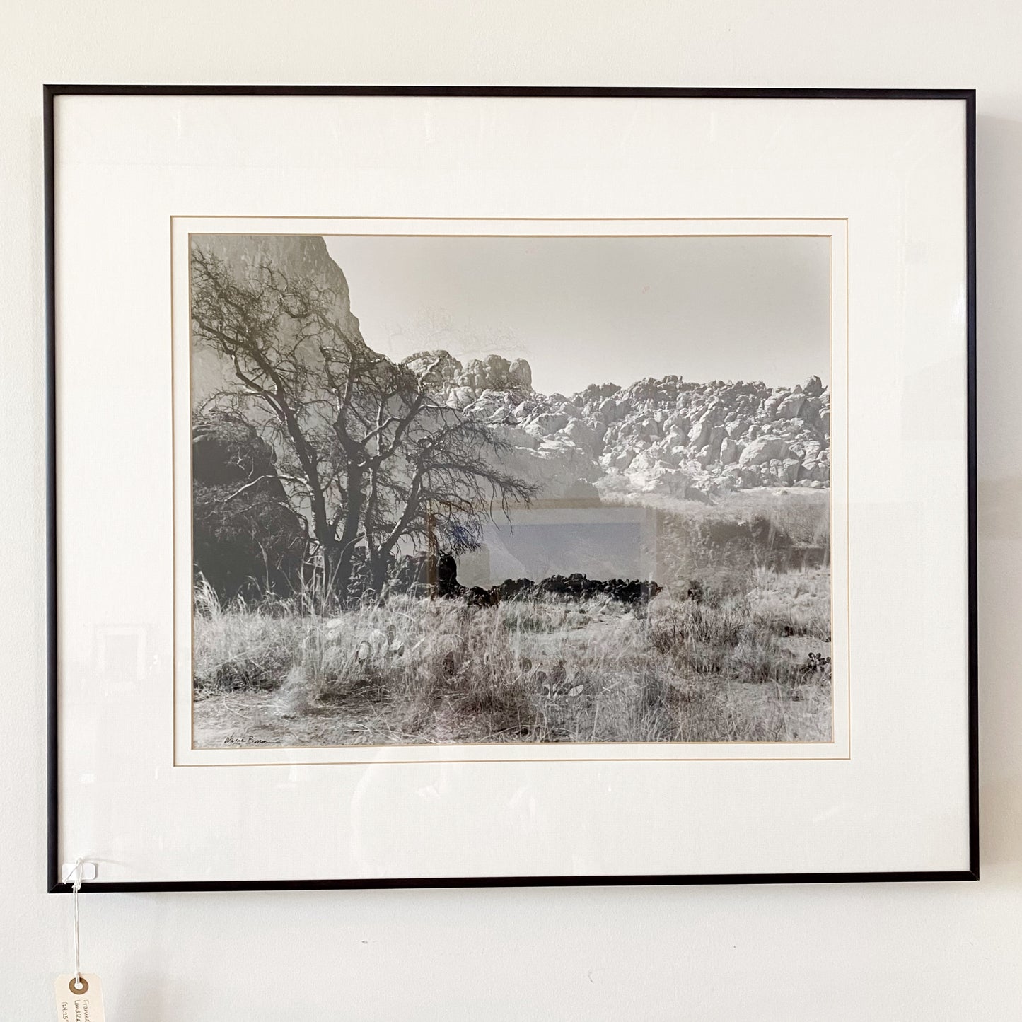 Framed Large-scale B&W Landscape Photograph