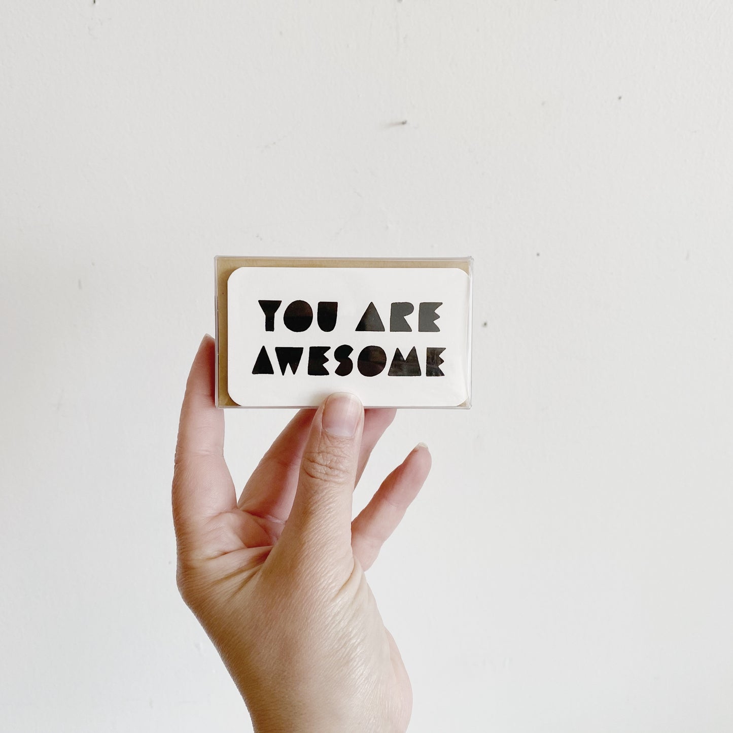 Mini Note Set : You Are Awesome