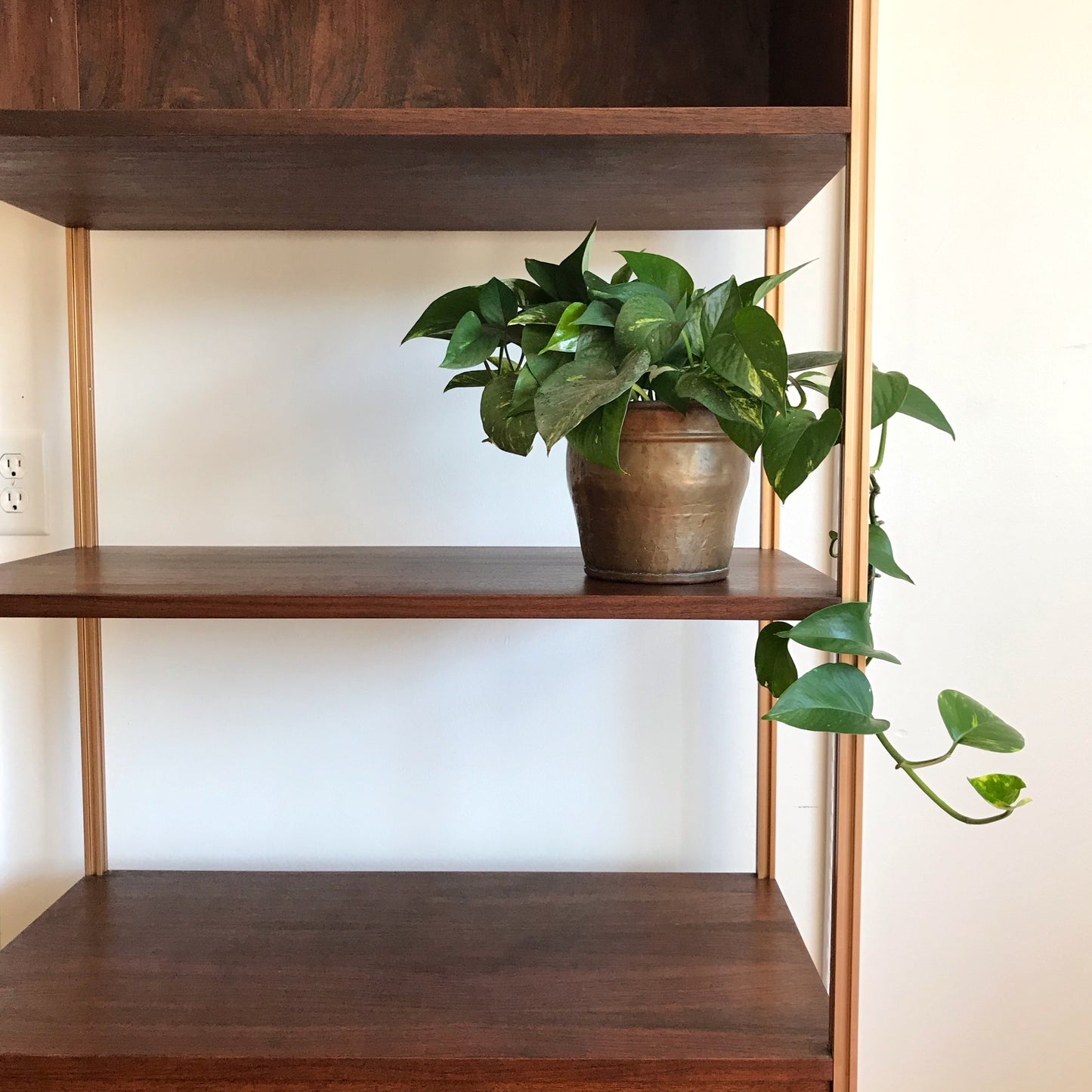 Vintage MCM Cabinet with Shelving