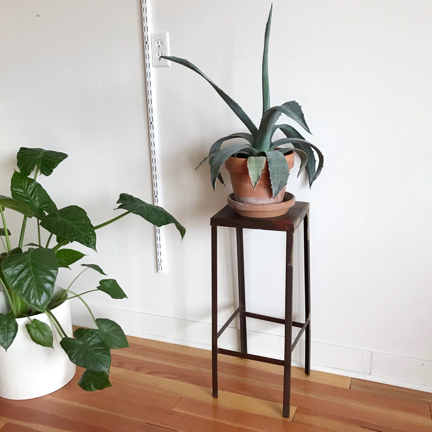 Vintage Minimal Industrial Plant Stand