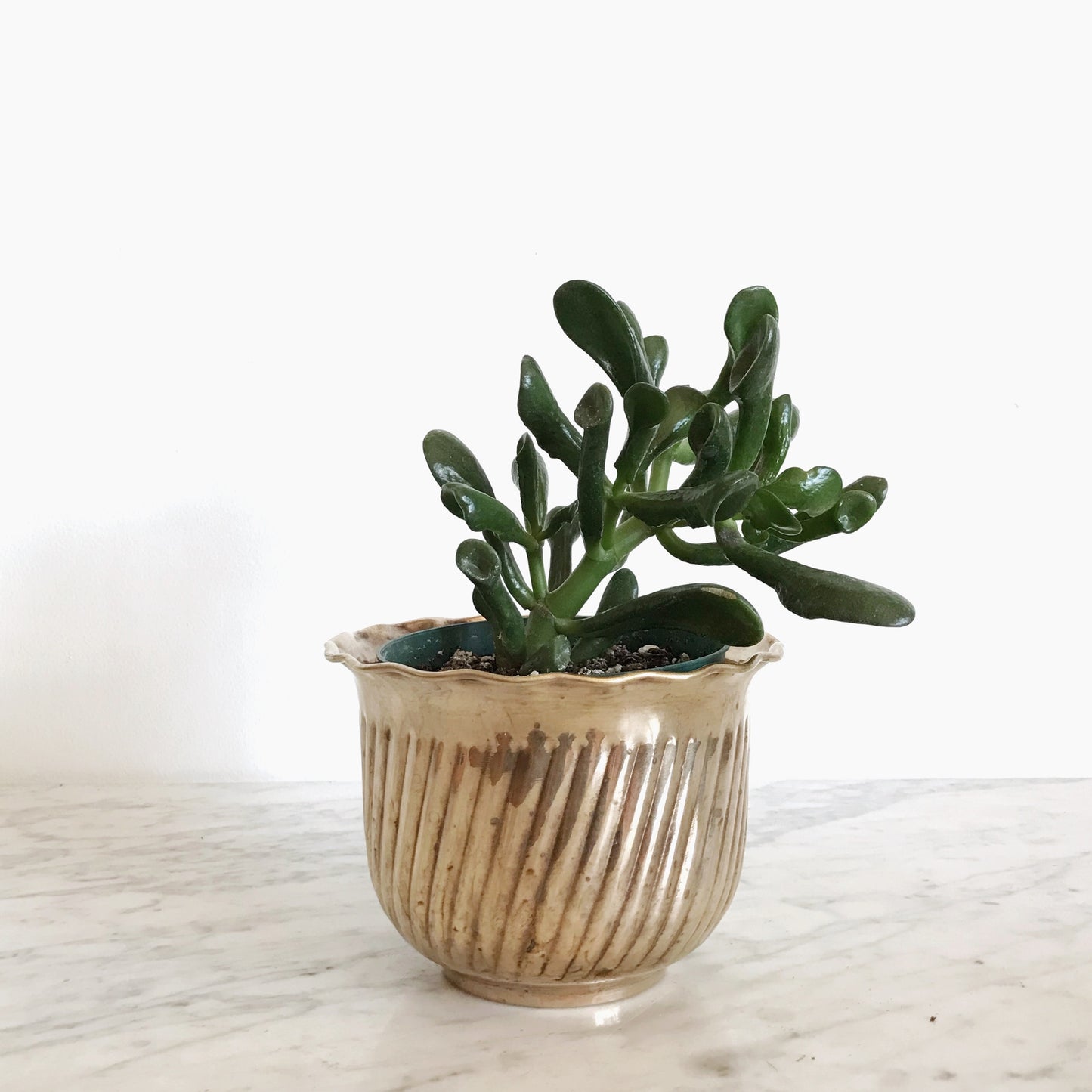 Vintage Brass Planter with Angled Ribbing