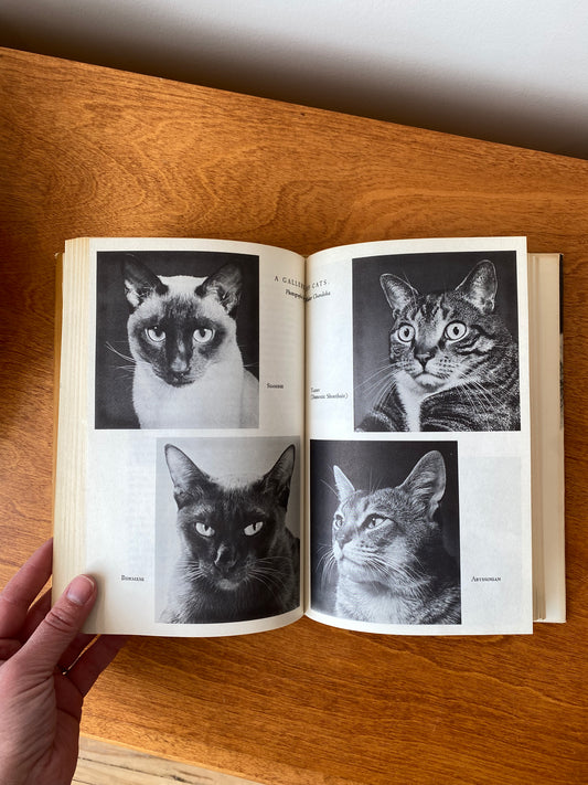 Vintage Book “The Personality of The Cat”