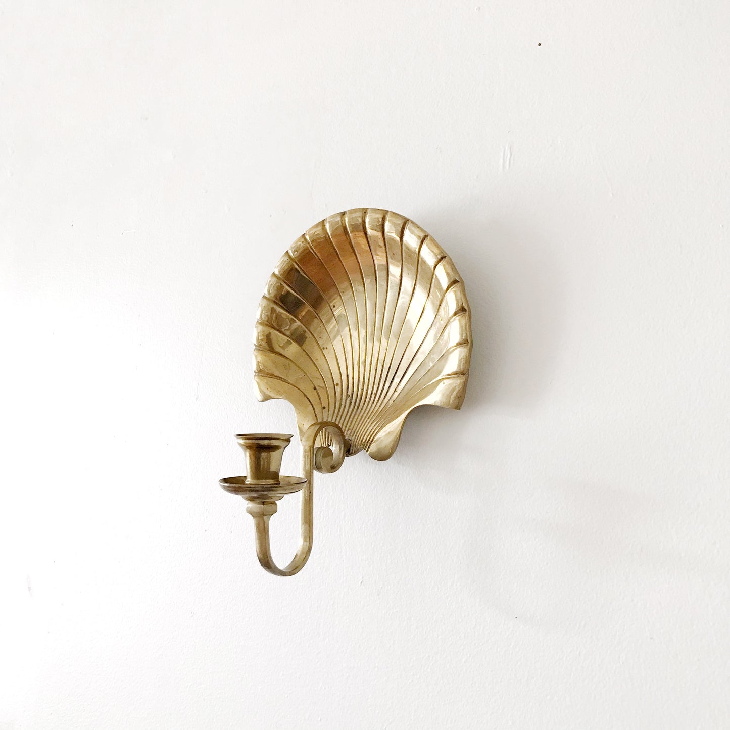 Vintage Brass Seashell Sconce
