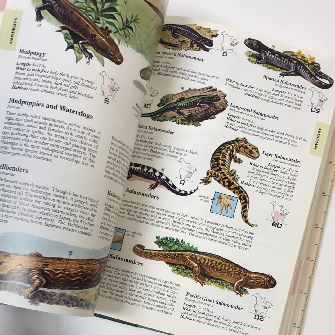Book: Reader’s Digest North American Wildlife