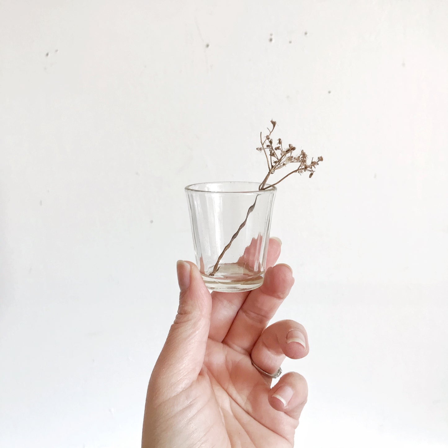 Clear Ribbed-Glass Shot Glass