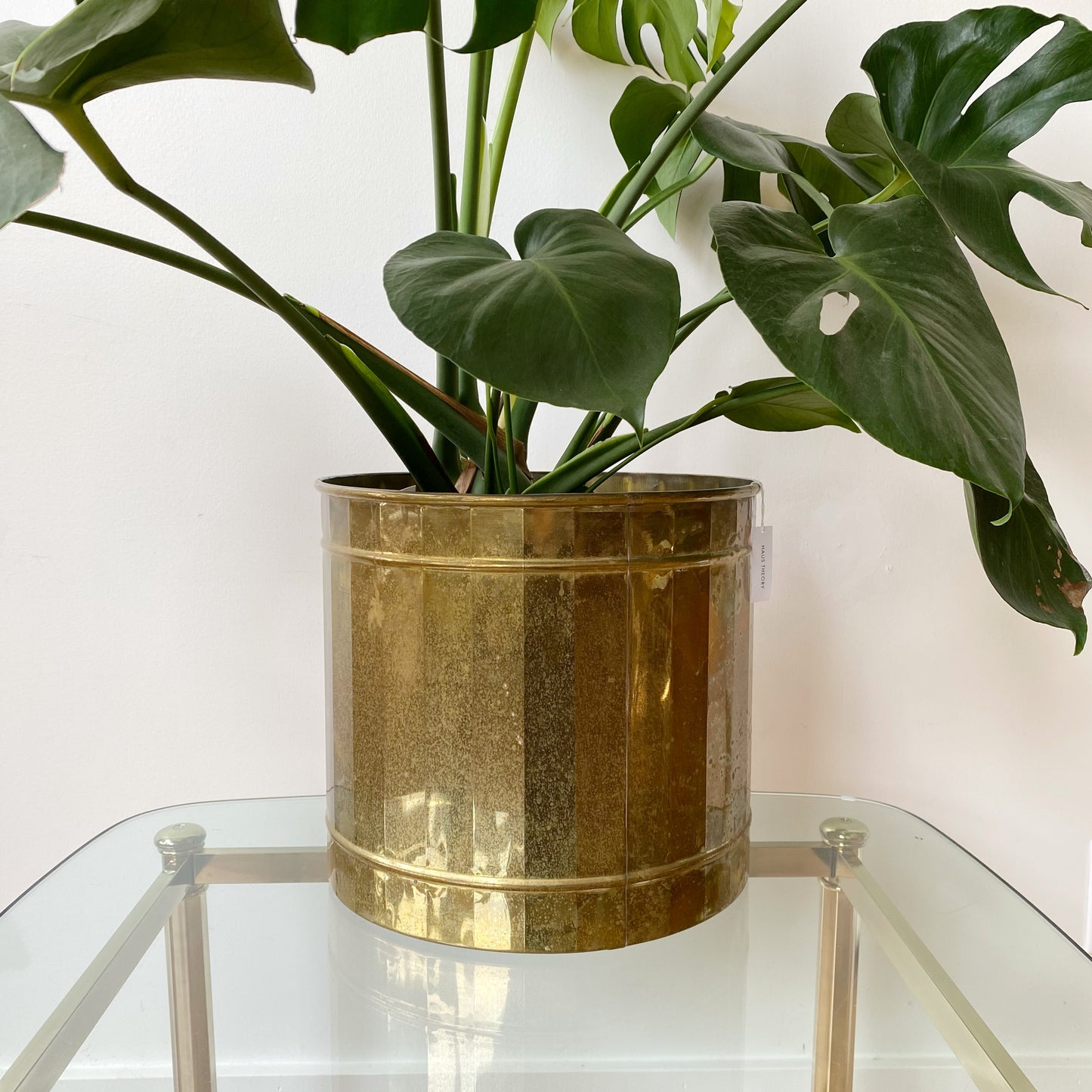 indoor plants in brass pots XXL Vintage Brass Planter – HAUS THEORY