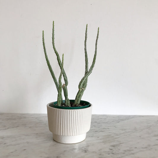 Vintage Reeded Ceramic Planter, 4"