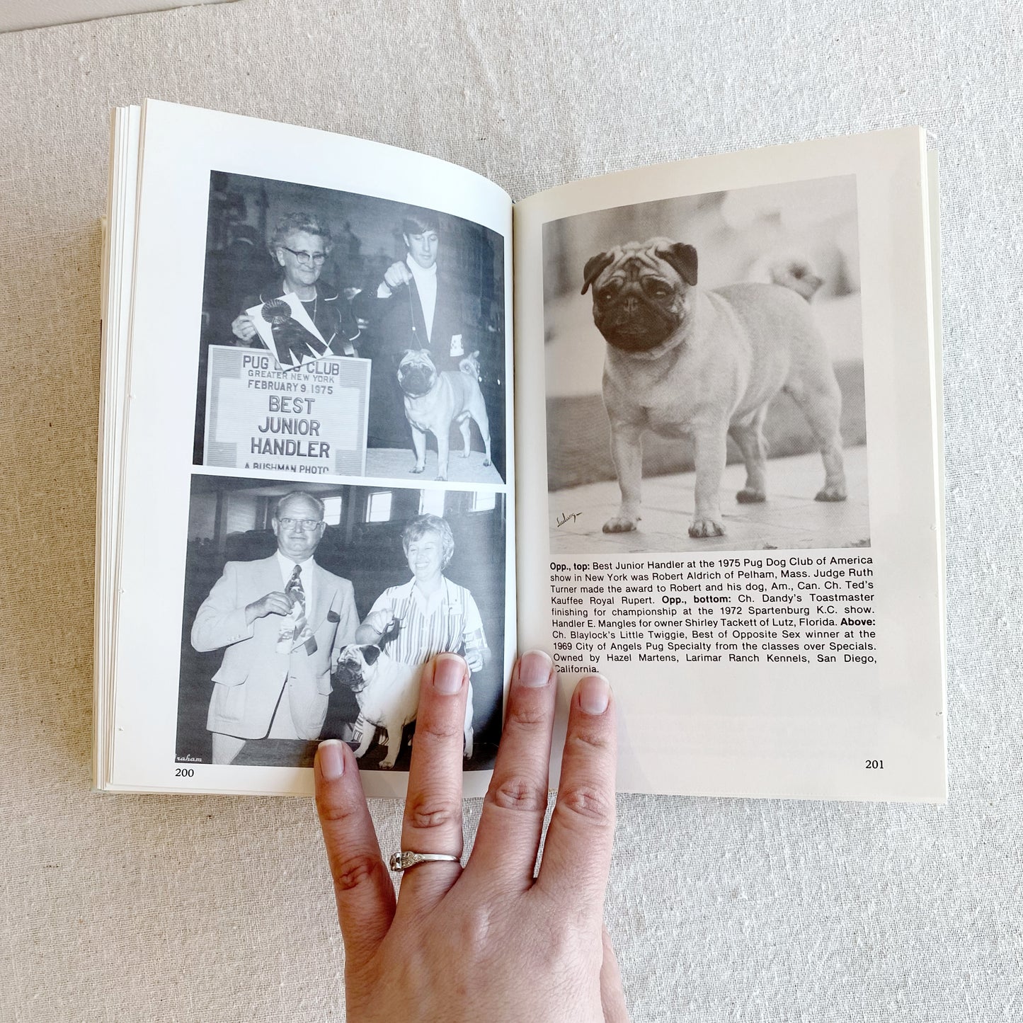 Book: The Book of Pugs