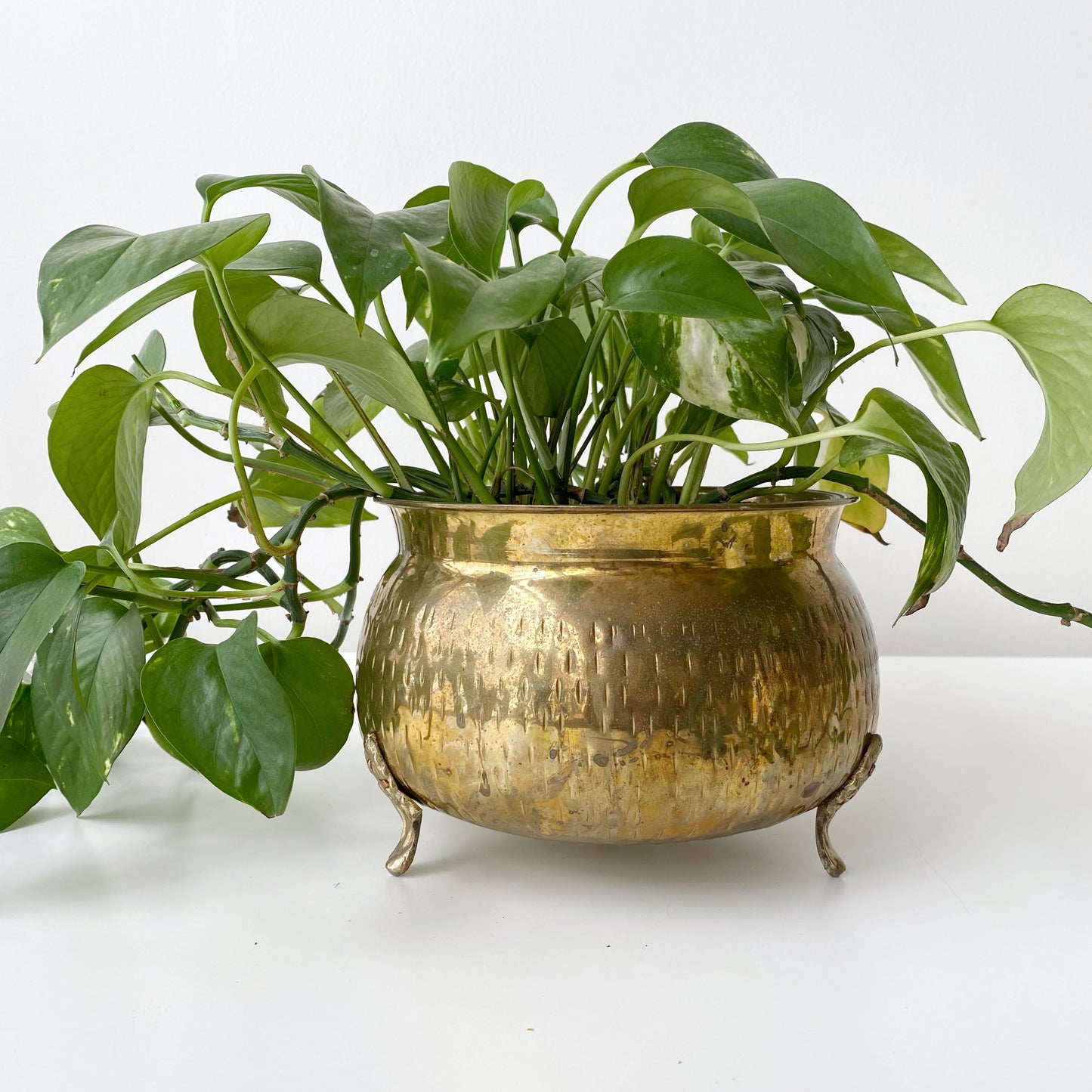 Large Vintage Footed Brass Planter