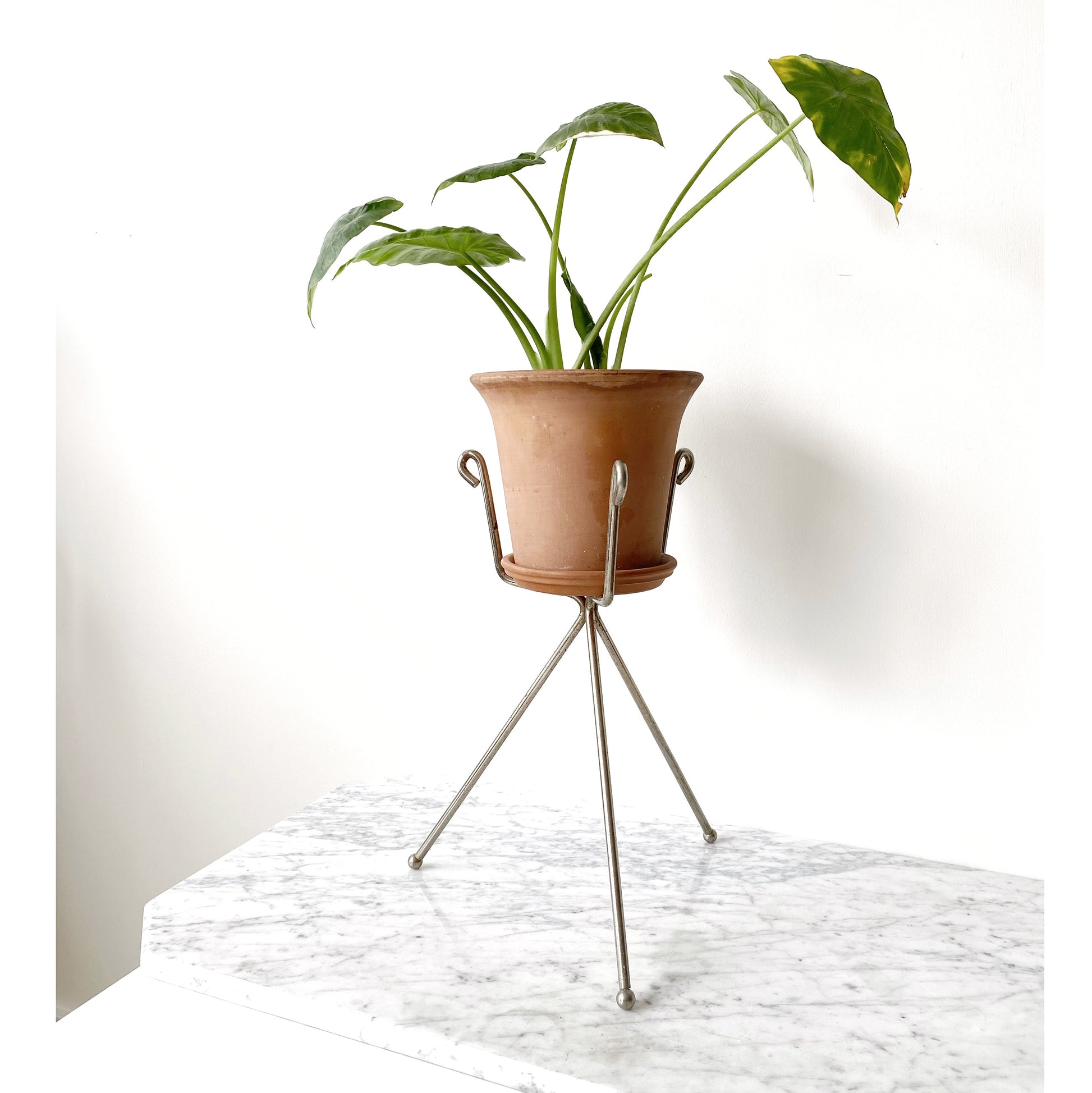 chrome plant pot stand Vintage MCM Chrome Metal Plant Stand – HAUS THEORY