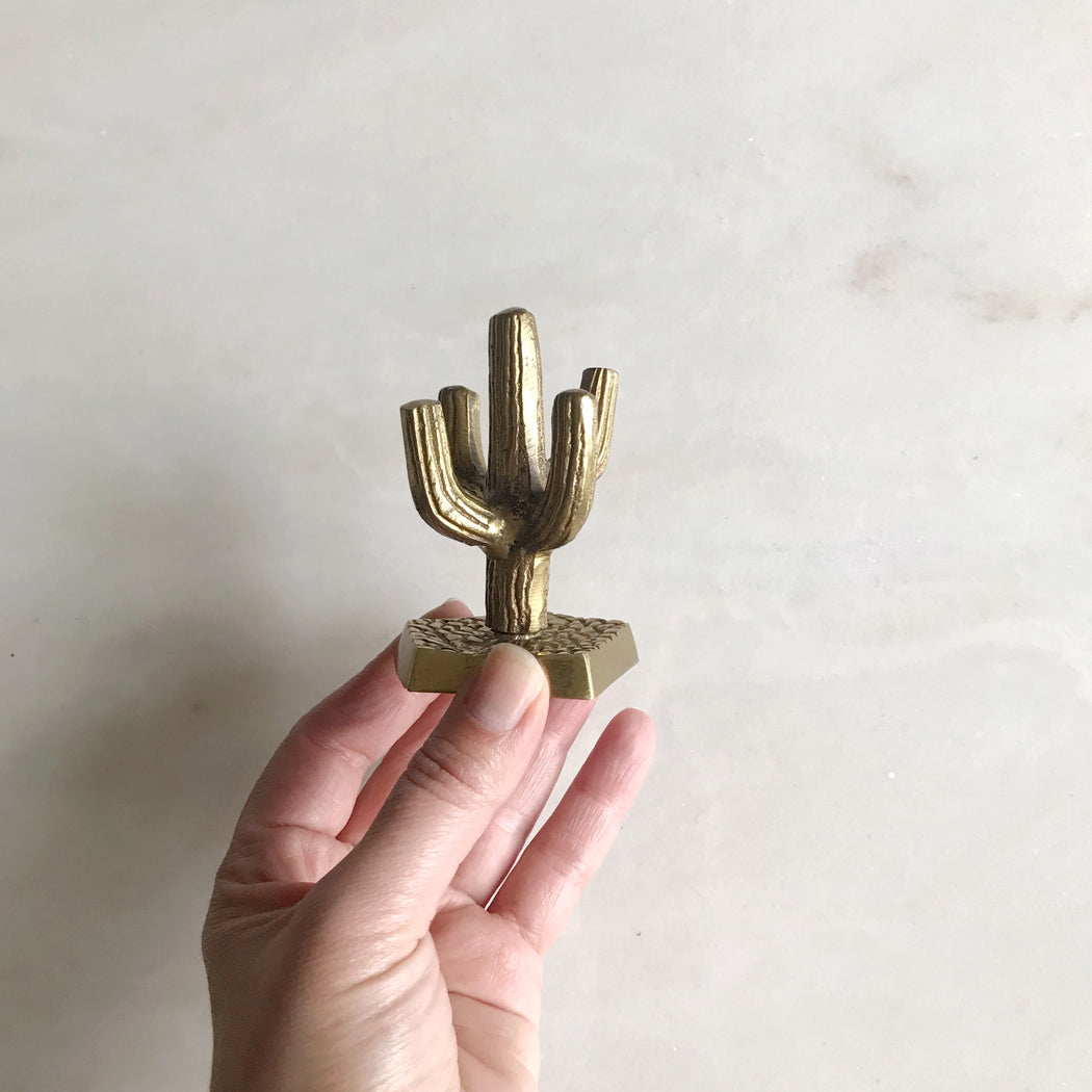 Cactus Jewelry Holder - Beech Wood - Pine Wood from Apollo Box