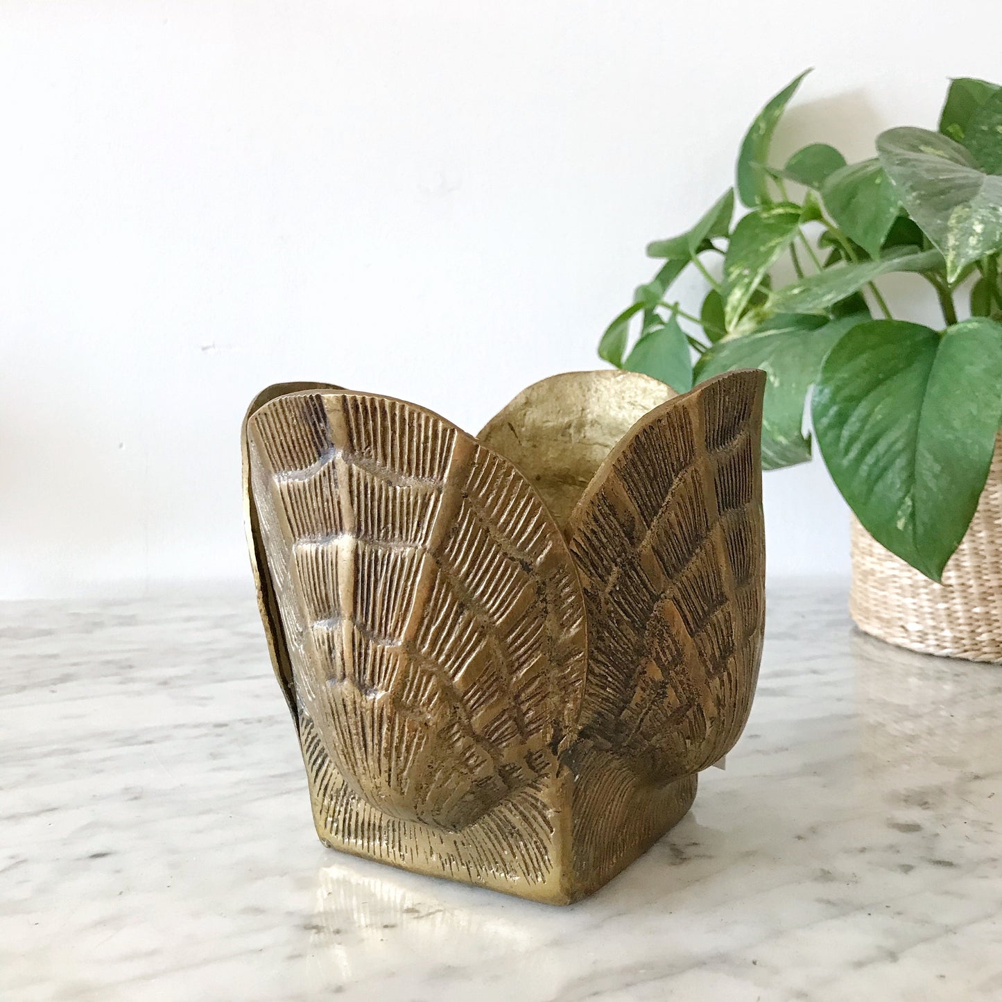 Vintage Brass Seashell Planter – HAUS THEORY