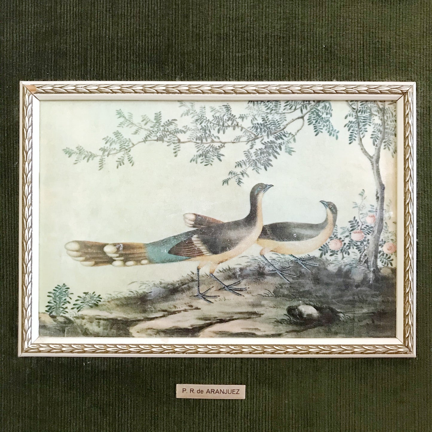 Vintage Peacock Artwork