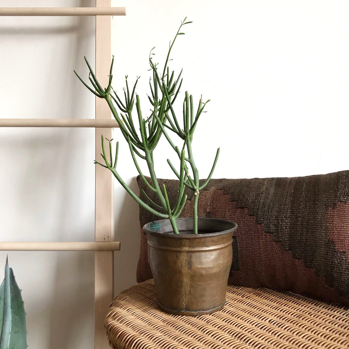 Vintage Copper Planter, 6”